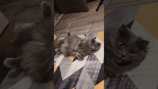 Отдыхает