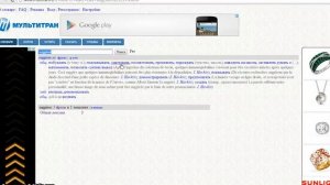 словарь Мультитран