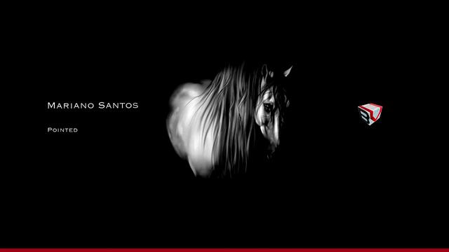 POINTED (ORIGINAL MIX) - MARIANO SANTOS BY BLACK VOGUE RECORDS смотреть онлайн