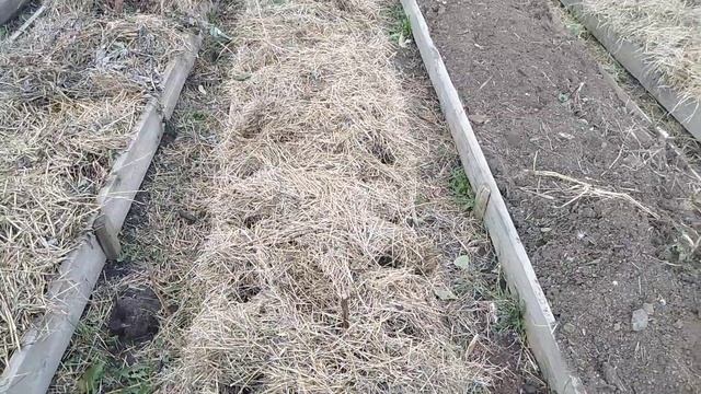 Осенние работы на участке, это ЗАДЕЛ будущего урожая // С.Х.У смотреть онлайн