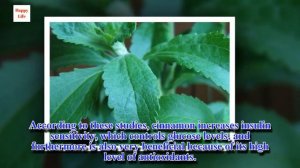 Treating Diabetes with Stevia and Cinnamon