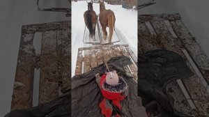 Тяжелые конные сани ч.2