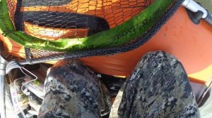 СОРЕВНОВАНИЯ ЗОЛОТАЯ ОСЕНЬ - Ловля  щуки на ОВХ , Рыбалка в Спирино .