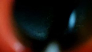 Aurora Storm-50 воздушный компрессор обзор