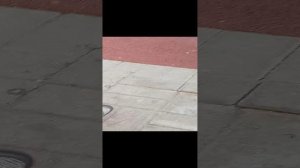 Гусеница 13 Сентября 2024 Сентябрь 2024 VID20240913081628~2.mp4