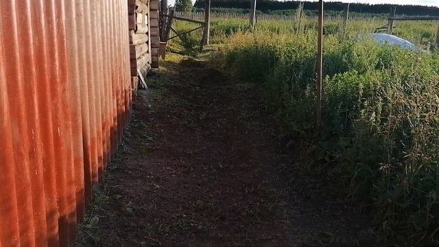 ПРОСТОЙ ДРЕНАЖ УЧАСТКА | СТРОИМ ВЫГУЛ ДЛЯ КУР | ДОМ В ДЕРЕВНЕ