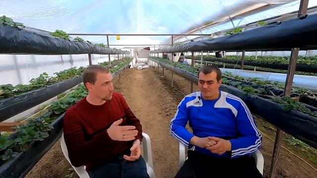 Можно ли вносить удобрения в корень и по листу одновременно_.mp4