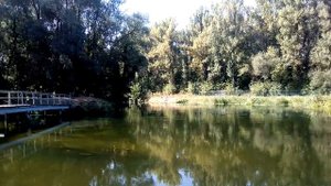 Река Оскол, мосты, парк. 31 августа 2024 г.