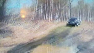 Toyota Surf 130 в лесу.