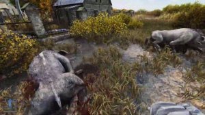 EFP - Quick melee rework