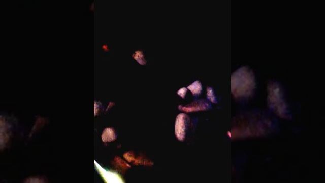 Разница меж паром из закрытой каменки Ангары 2012 и открытой смотреть онлайн