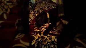 Виноватая собака извеняется.?)