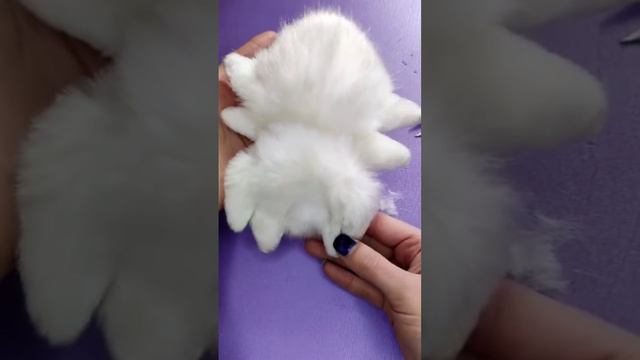 берегите котиков 🥺 смотреть онлайн