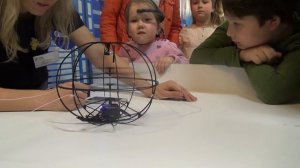 ВЫСТАВКА РОБОТОВ. РОБОПОЛИС.