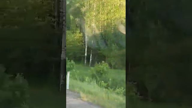 Пермский край. Чусовой. смотреть онлайн