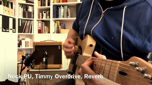 Ritter Amplification Champ 8'' (Fender "Champ" 5F1 clone) смотреть онлайн