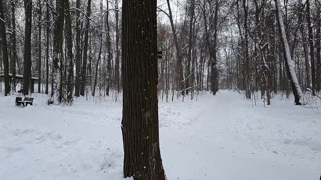Хирург купила дом в деревне для ПМЖ... В первую же ночь обнаружила внутри то, от чего вздрогнули вс смотреть онлайн