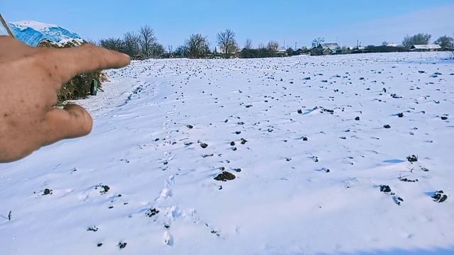 мОтОбЛоК Дизель 9-сильный хопер смотреть онлайн