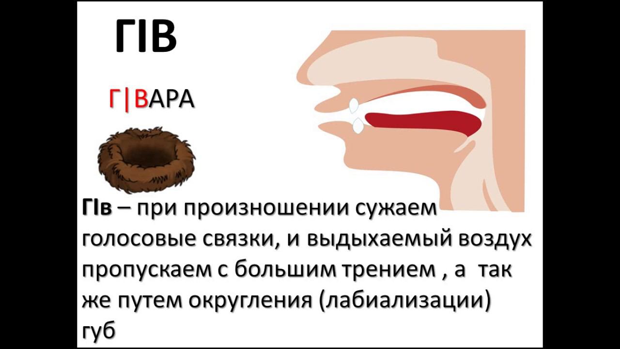 Видеоурок: обучение абазинскому языку. 71 занятие
