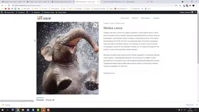 09 Добавляем товары смотреть онлайн