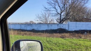 Ястреб перепелятник на охоте!