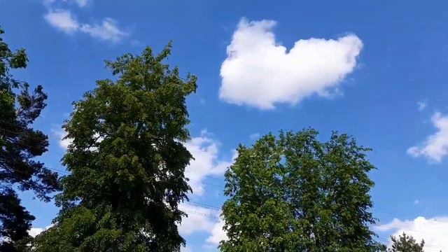 Деменция. Спокойная, почему? / Тепло одеты летом, легко - зимой / Мятная мята... /