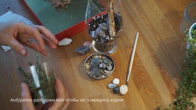 ФЛОРАРИУМ своими руками смотреть онлайн