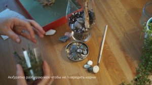 ФЛОРАРИУМ своими руками