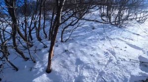 Гора Бад. Северная Осетия. Декабрь 2023