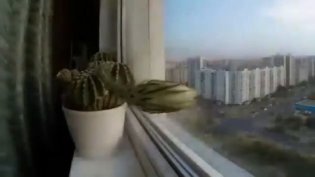 Царица ночи. смотреть онлайн