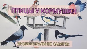 Птицы у кормушки