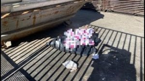 Женщина выбросила сына в центре Москвы на мусорке