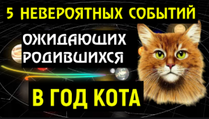 ?5 НЕВЕРОЯТНЫХ СОБЫТИЙ ОЖИДАЮТ РОДИВШИХСЯ В ГОД КОТА! ВЫ ОБ ЭТОМ И МЕЧТАТЬ НЕ МОГЛИ!