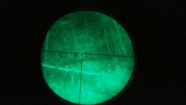 Кабаны в ночнике. смотреть онлайн