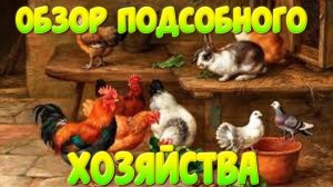 Обзор подсобного хозяйства // Жизнь в деревне