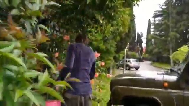 Внесение удобрения для роз работа ЛД Гера г.Сочи смотреть онлайн