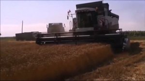 День работников сельского хозяйства.  Музыкальное поздравление