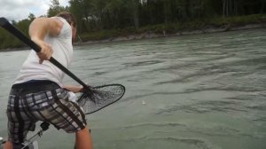 Giant 60 Pound King Salmon Almost Knocks Guy in Water