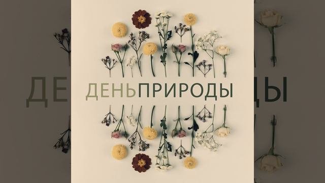 Тропический лес