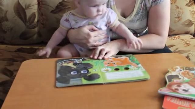 рисуем и читаем.wmv 10.10.2012 смотреть онлайн