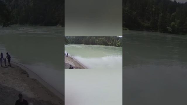 Отдых в Горном Алтае 2021г смотреть онлайн