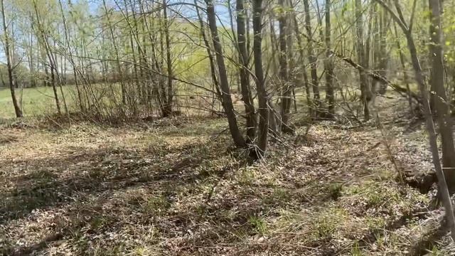 ЧЕМ ДАЛЬШЕ В ЛЕС ТЕМ БОЛЬШЕ ДРОВ НО ТУТ ЭТО ПРАВИЛЬНО НЕ РАБОТАЕТ смотреть онлайн