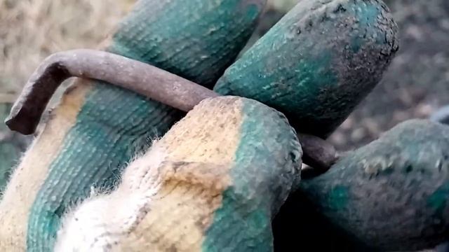 Тула,поиск монет в полях с металлоискателем x-terra 705 . смотреть онлайн