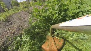 Електрична коса , тример Stihl FSE 81 у використанні 3 роки