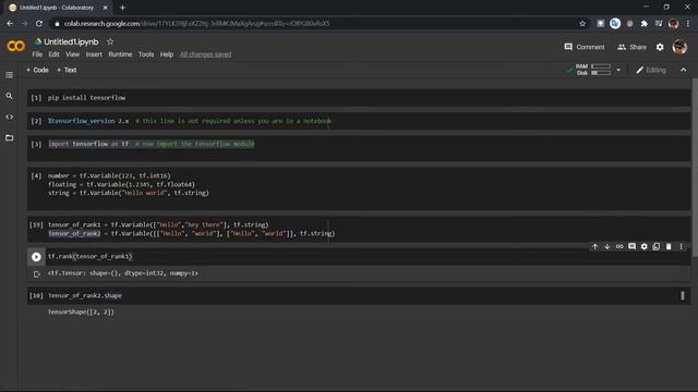 TensorFlow2.0- Rank and Shape of Tensors