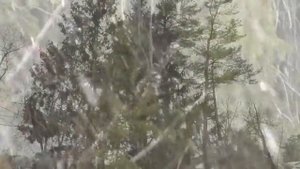 Natashas Songs / Наташины Песни / Winter Lullaby