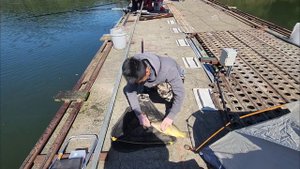 Наловил больше 25 карпов на удочку раздал подписчикам. На снасть херабуна.#fishing