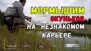 Мормышим окунька на незнакомом карьере