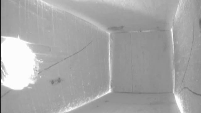 Первое посещение