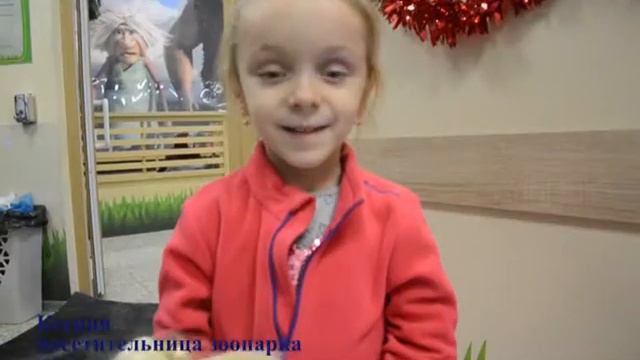 Контактный зоопарк 2 смотреть онлайн